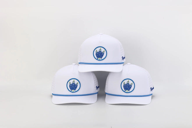 Bluebonnet 5-Panel