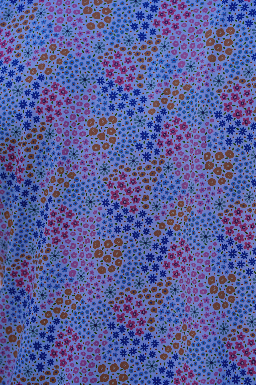 May Flowers