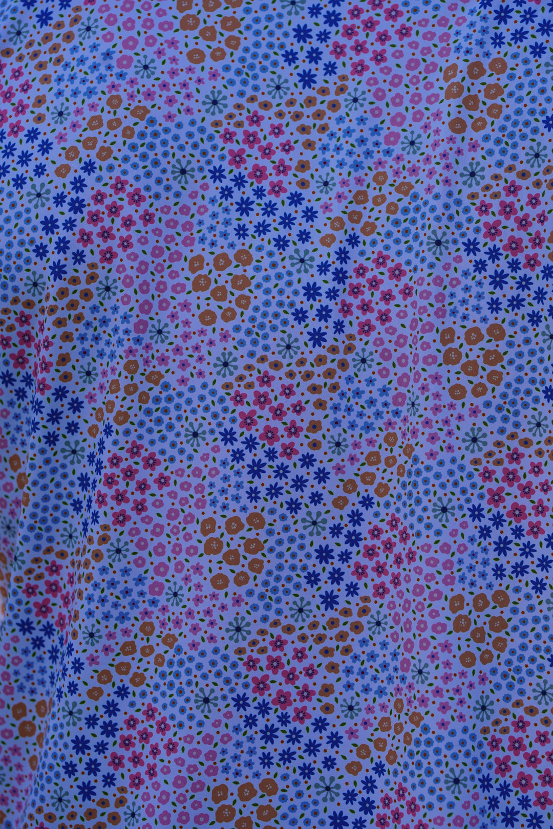 May Flowers