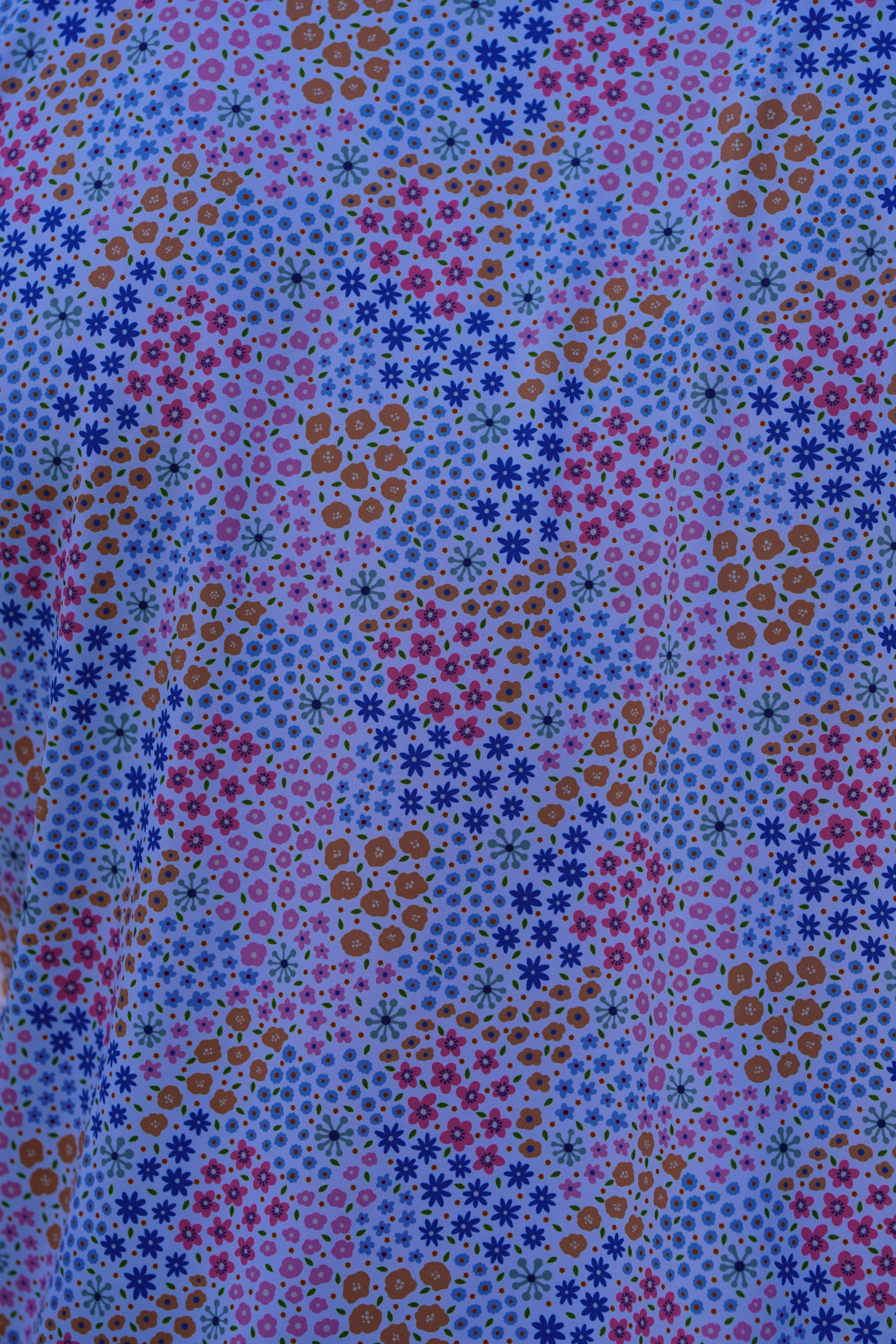 May Flowers