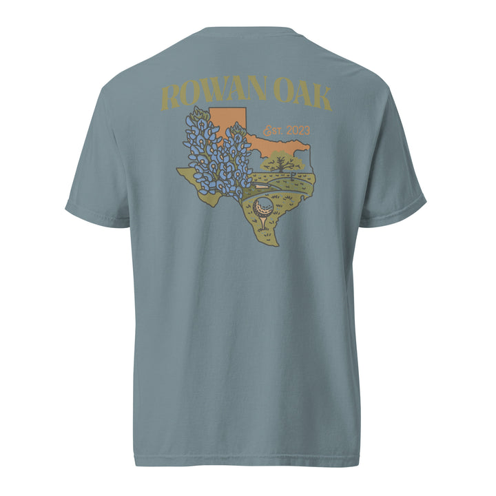 Texas Bluebonnets